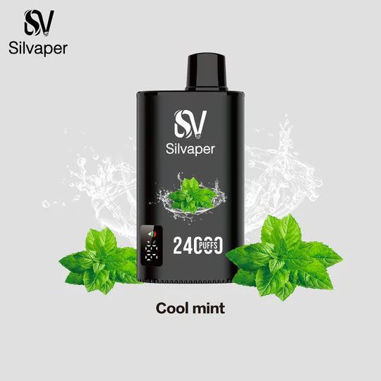 SILVAPER 24000 PUFFS DISPOSABLE VAPE - Image 20