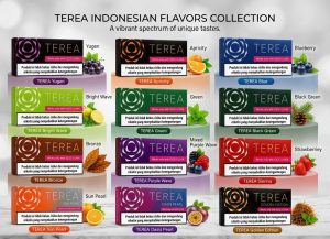 Buy Iqos Terea Indonesian all in UAE