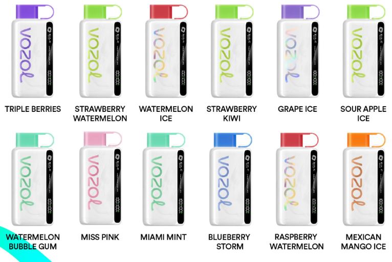Vozol Star 12000 Puffs Disposable Vape